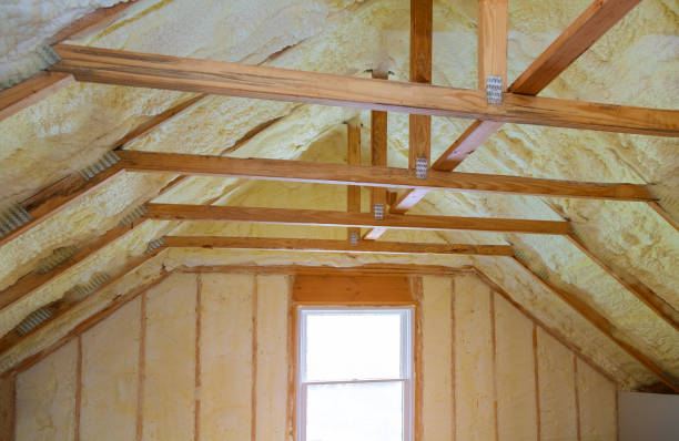 Best Cellulose Insulation in Kayenta, AZ