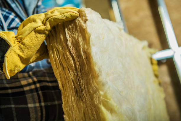 Best Geographic-Specific Insulation Services in Kayenta, AZ