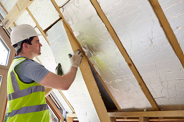 Best Eco-Friendly Insulation in Kayenta, AZ