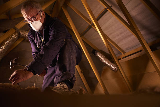 Types of Insulation We Offer in Kayenta, AZ